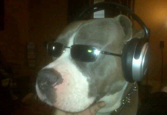 Woof
